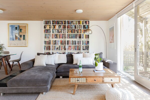 Smart TV, Netflix, books, streaming services