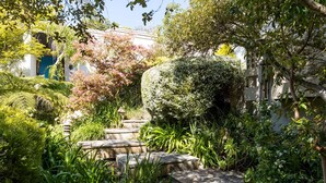 Ein Garten mit Steintreppen, verschiedenen Pflanzen und einem Gebäude mit einer blauen Tür.