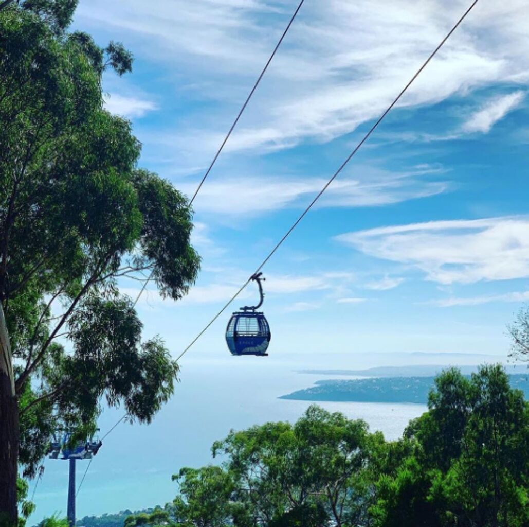 A cable car suspended over a body of water with trees in the foreground.