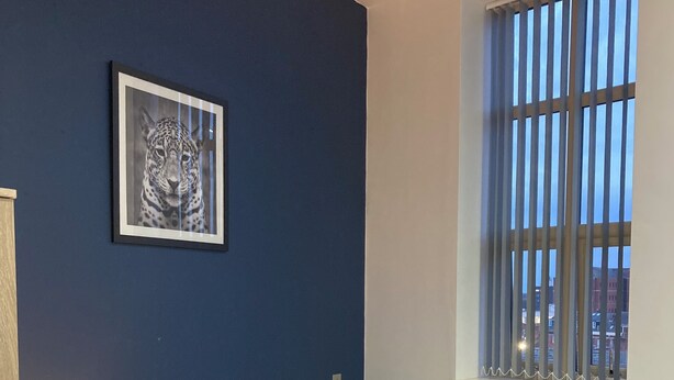 Un dormitorio con cama, almohadas, una mesita de noche, lámpara, ventana con persianas y un cuadro enmarcado en la pared.