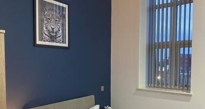 Central Doncaster 1BED 1BATH Pent-Apartment