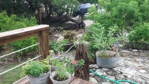 A wooden deck with potted plants and a garden area with various greenery and a hose. - Historic Island Retreat on Little Exuma (Little Exuma)