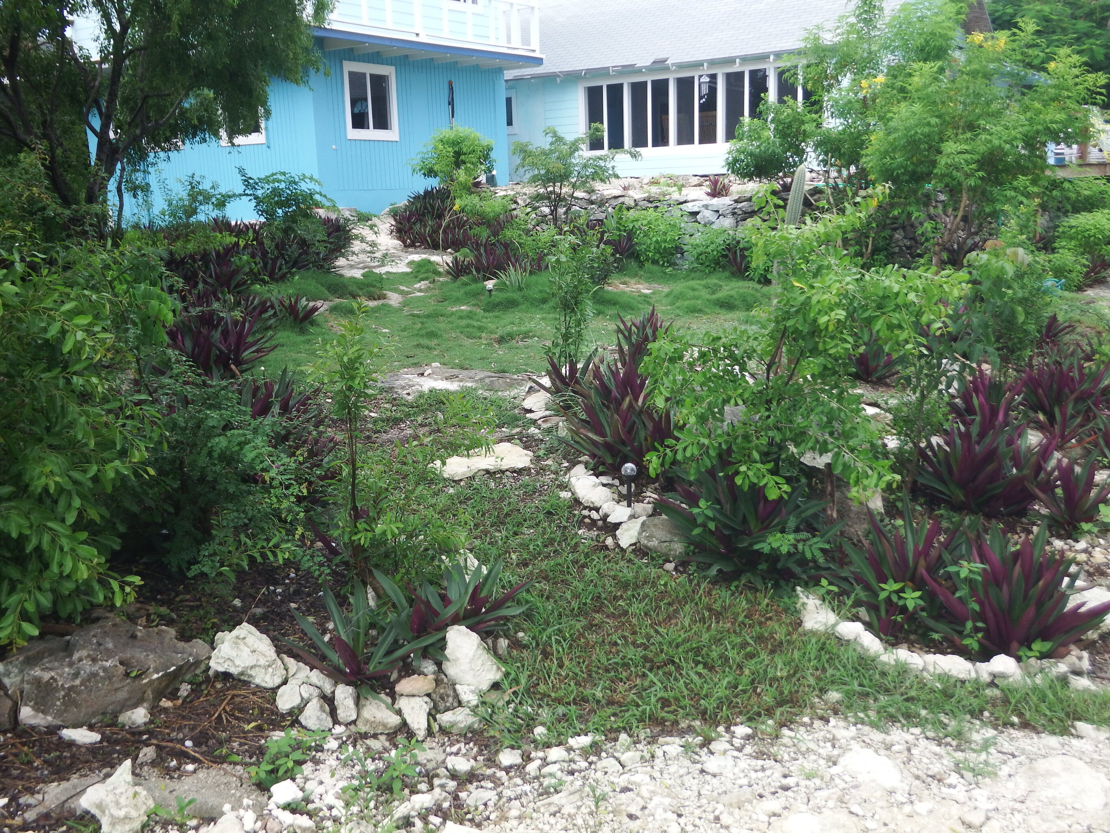 A blue house with a garden featuring various plants and a stone pathway.