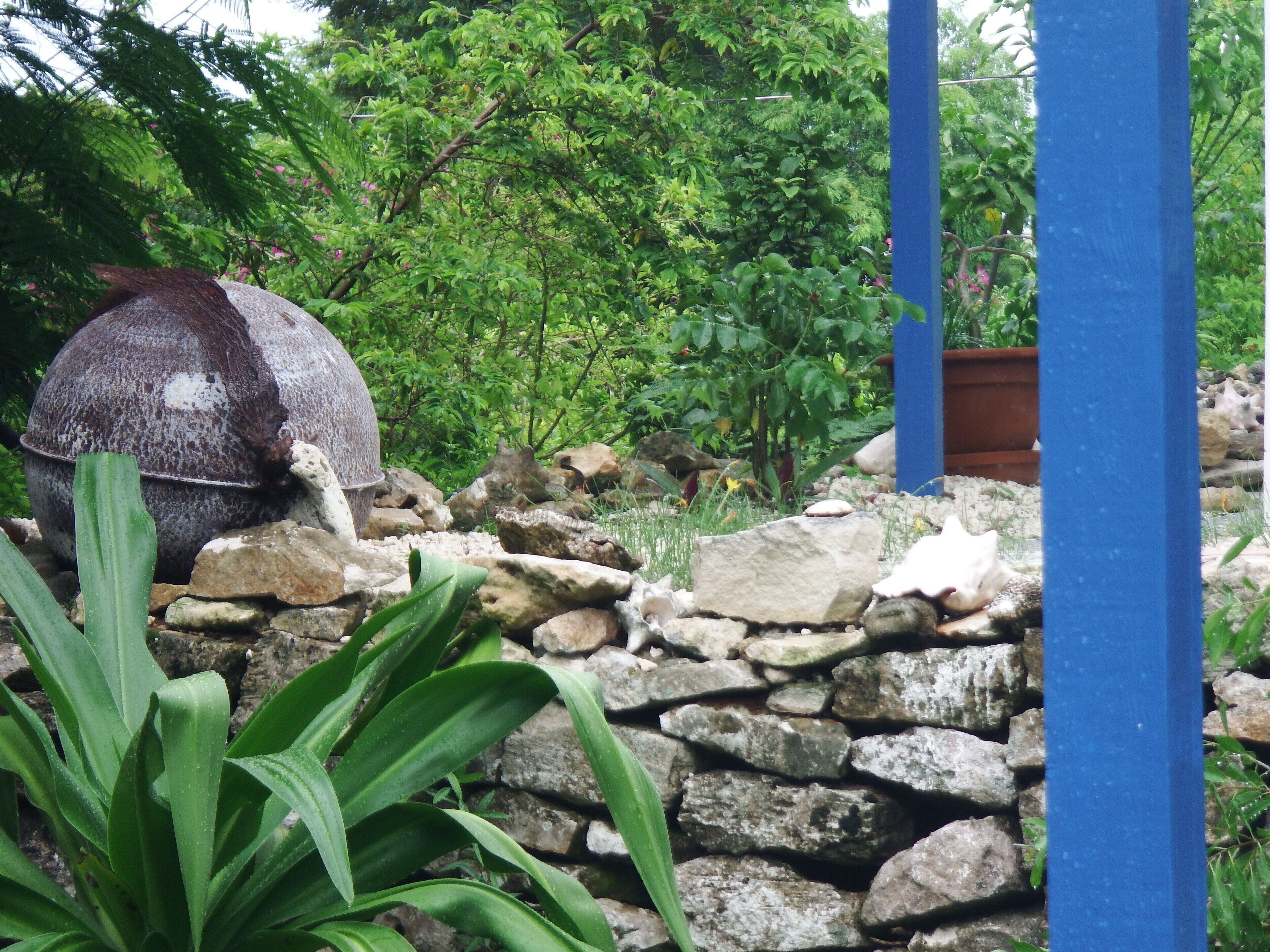 A garden with a stone wall, a large decorative bowl, and various plants.