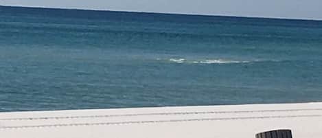 Sulla spiaggia, lettini da mare, teli da spiaggia