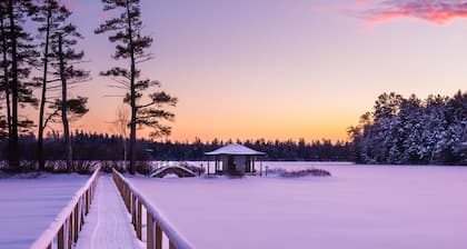 Signature Cabin 3 with Lake View