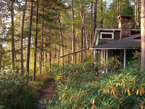 A cabin in a forest with a visible path leading to it. - Signature Cabin 3 with Lake View (Paul Smiths)