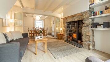 TV, fireplace, books, stereo