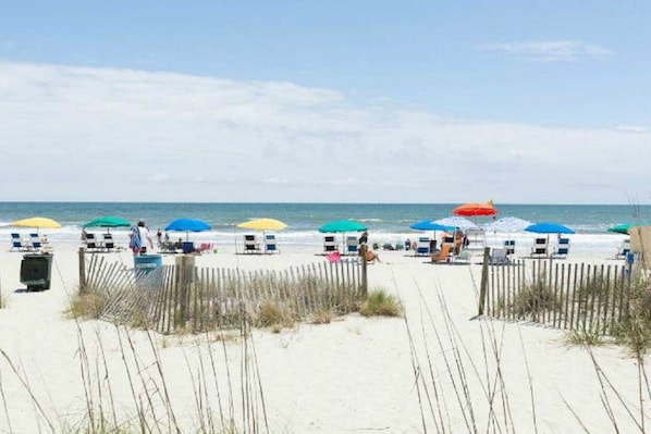 A beach with rows of beach chairs and umbrellas, a wooden fence, and the ocean in the background.