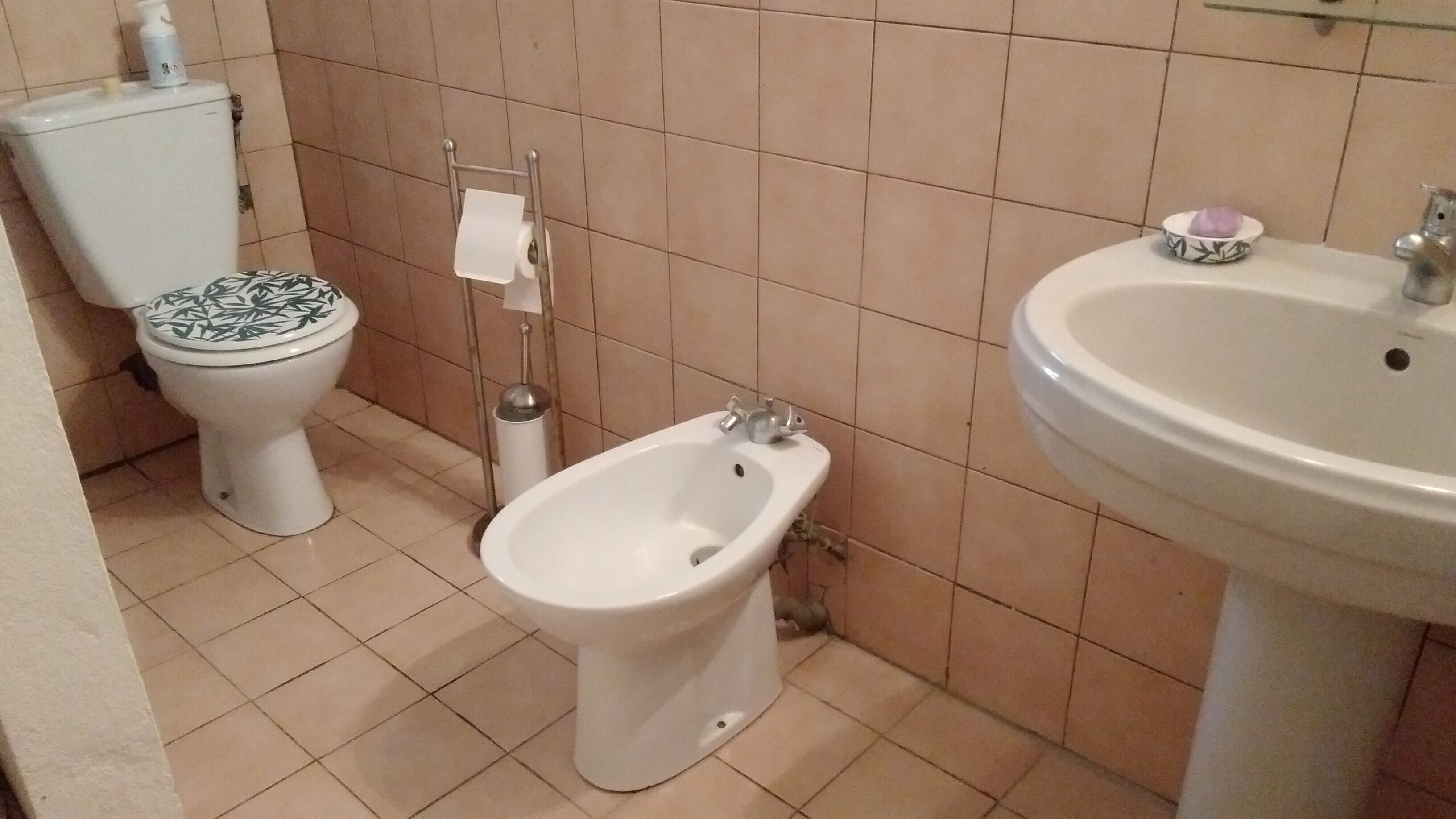 Une salle de bain équipée de toilettes, d’un bidet et d’un lavabo.
