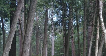 Beautiful 3 bedroom home on Rifle River