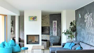 TV, fireplace, video games, DVD player