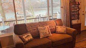 TV connectée, cheminée, lecteur de DVD, livres