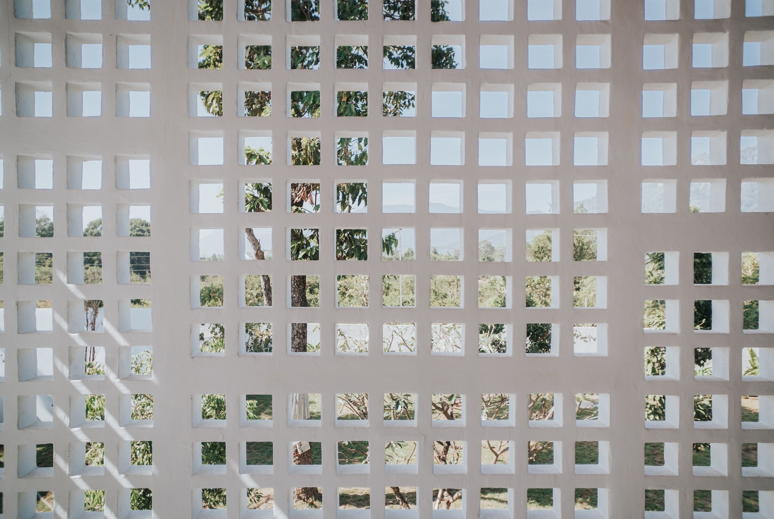 A grid of square windows with a view of greenery outside.