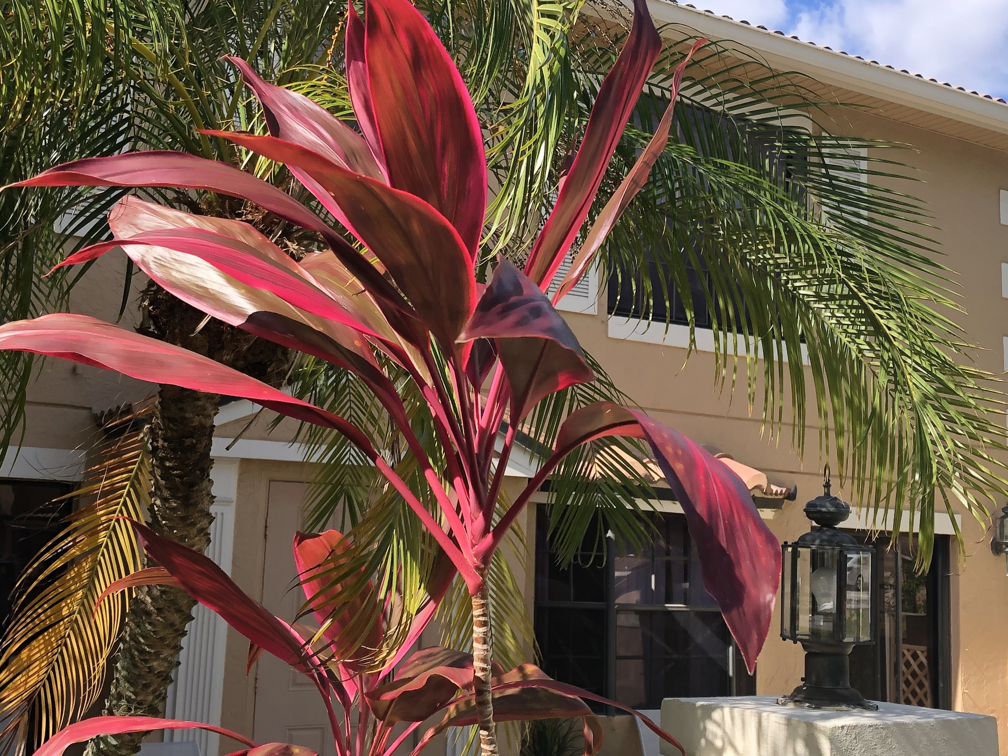 PGA National golf resort  vacation home with patio gated community swimming pool