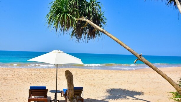 A beach with a white umbrella, two wooden chairs, and a palm tree.