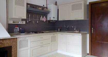 Not just relax holidays