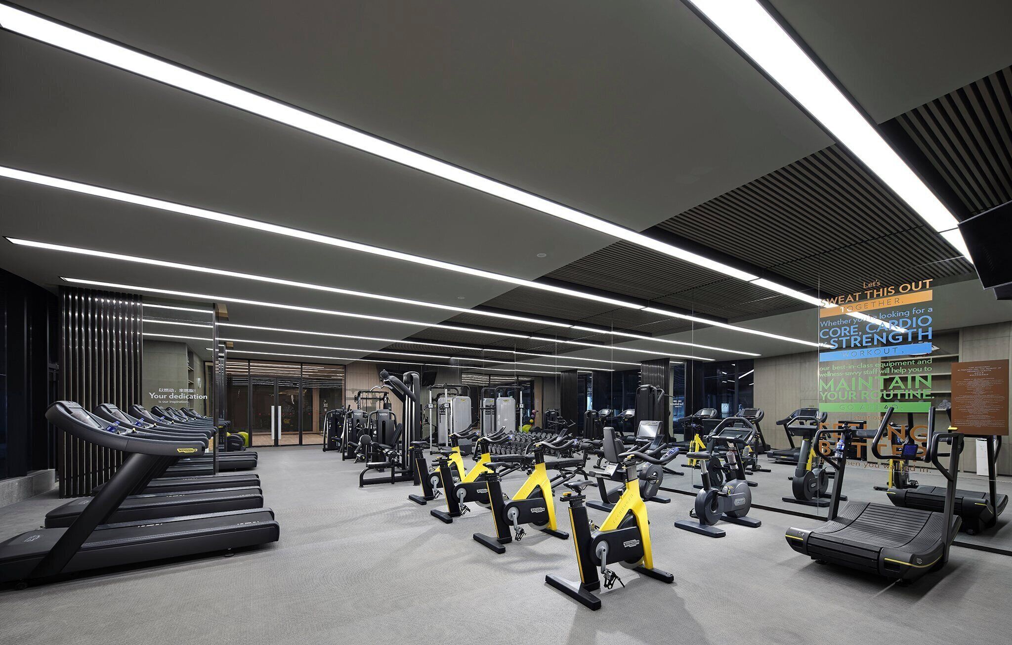 A modern gym with multiple treadmills, stationary bikes, and weight machines.