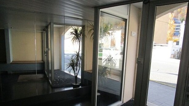 A hotel entrance with a glass door, a small indoor plant, and a view of the street outside.