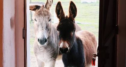 Monte das Cobras Coutry House