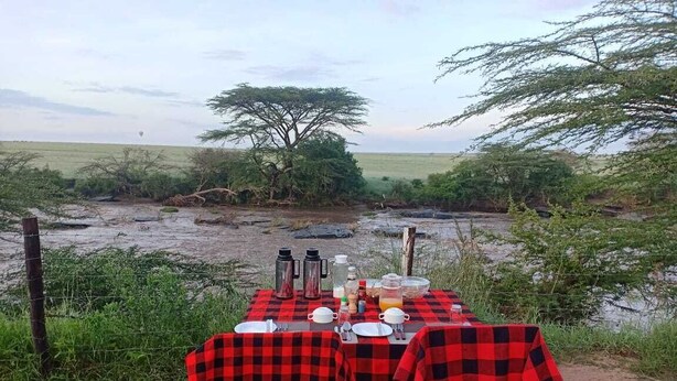 A dining table set up outdoors with a view of a river and trees in the background.