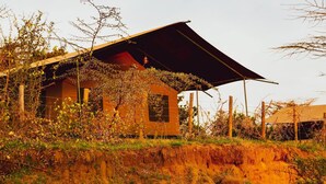 A rustic house with a sloped roof and a large canopy.
