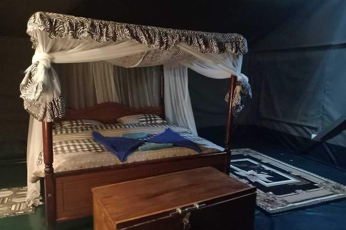 Deluxe tent | Gratis wifi, beddengoed