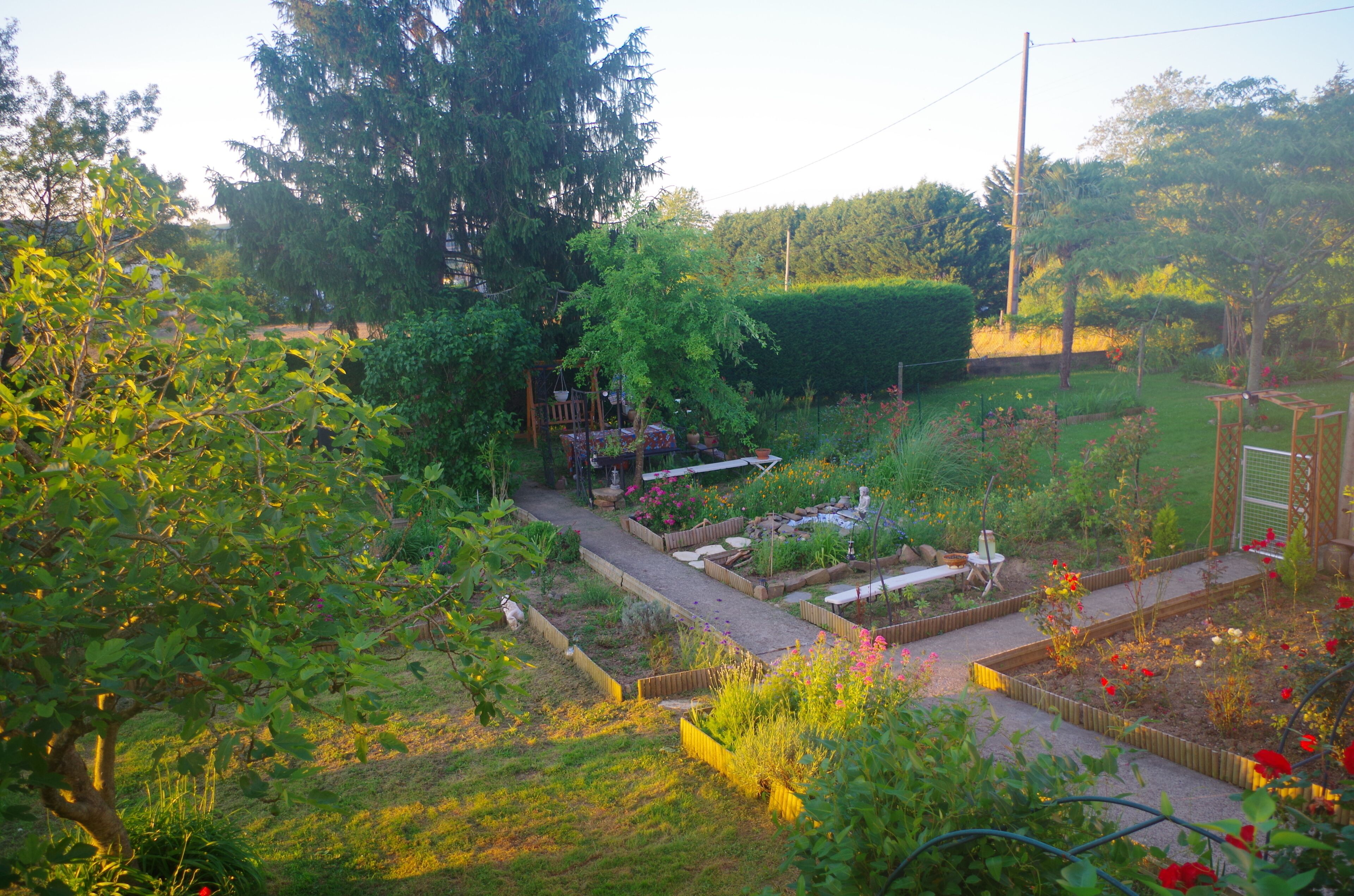 A garden with raised beds, a wooden structure, and a variety of plants.