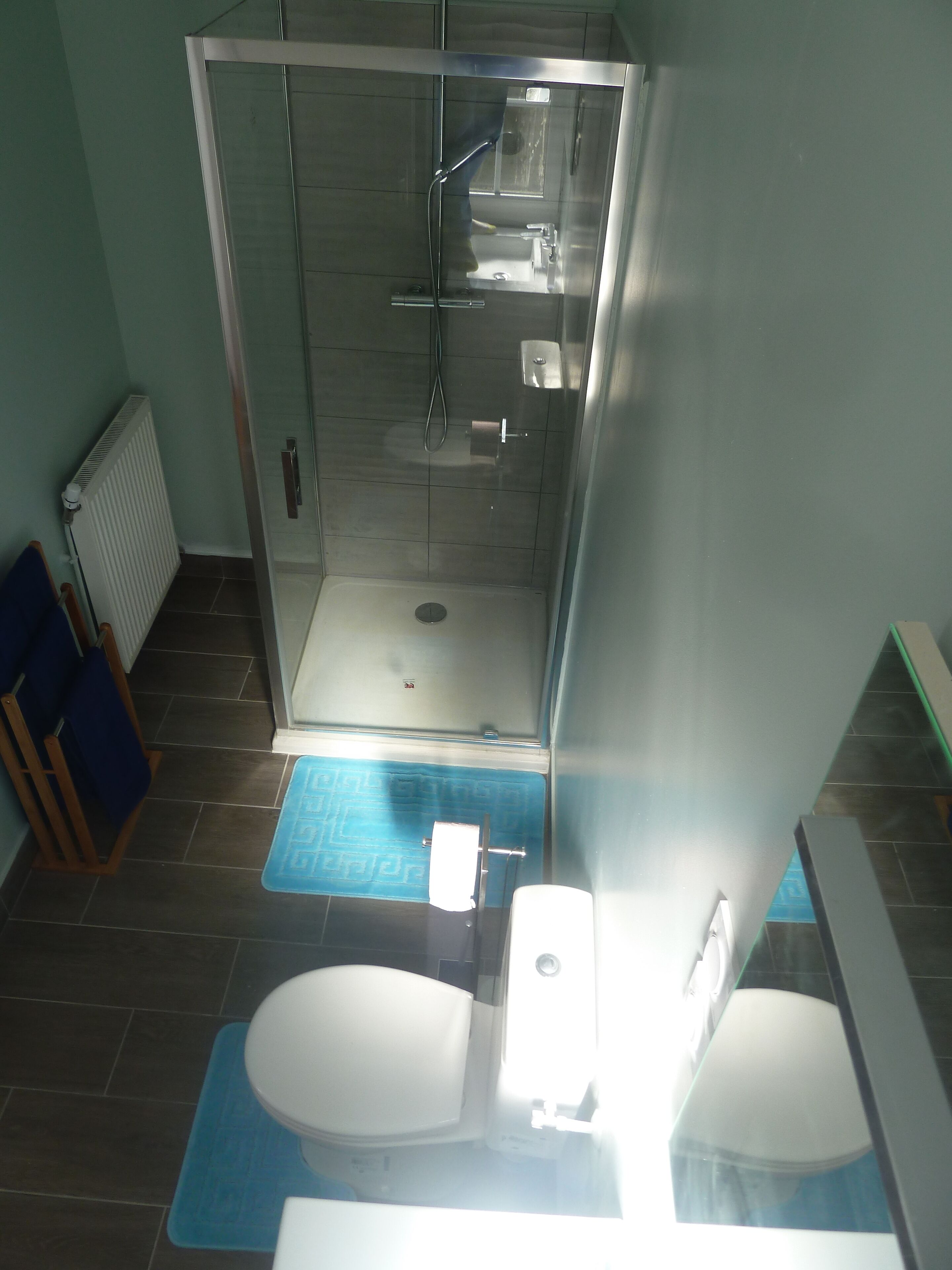 A modern bathroom with a glass-enclosed shower, a toilet, and a sink.