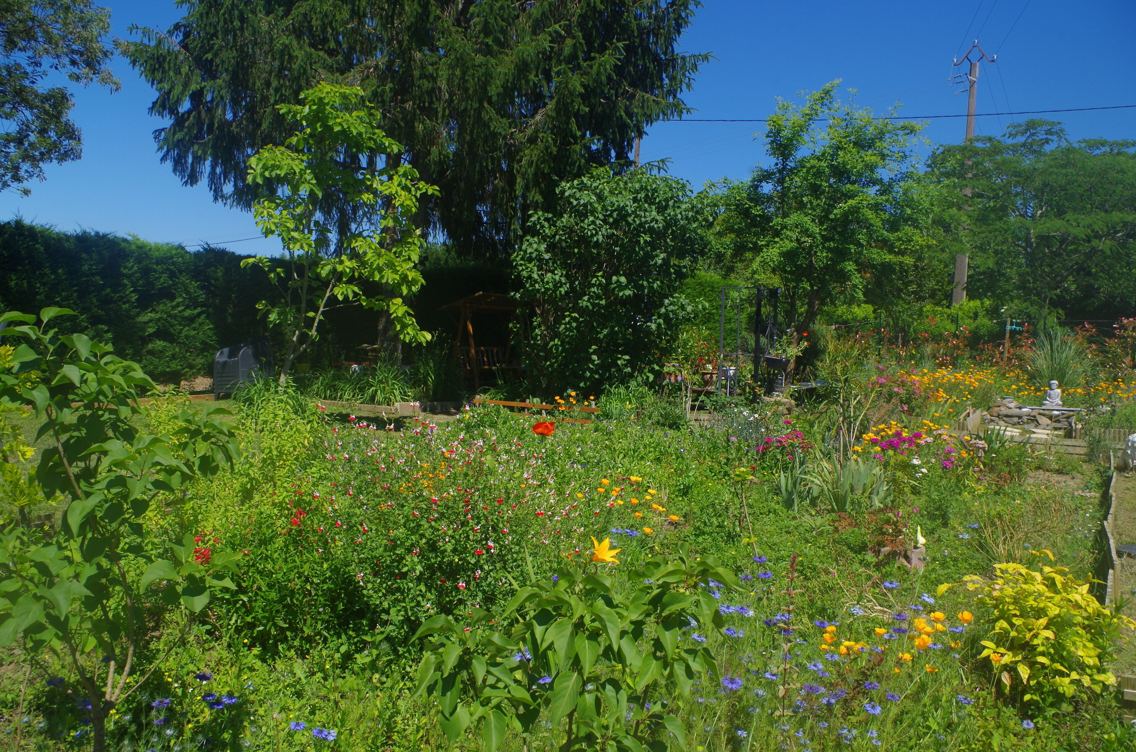 Un jardín con diversas plantas y flores, una estructura de madera y un árbol grande.