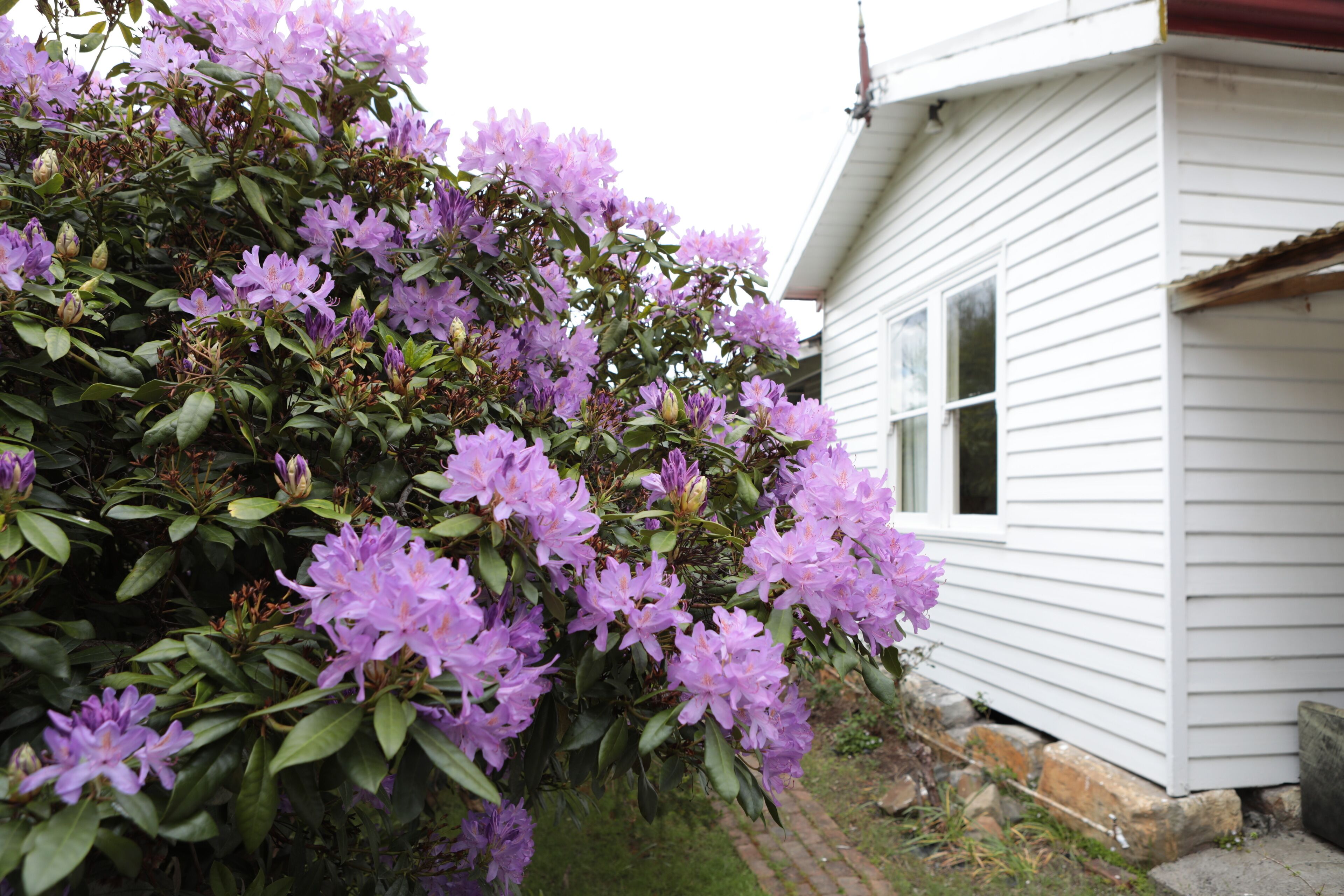 Family friendly home! — image 23