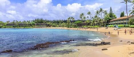 Accommodatie ligt op het strand
