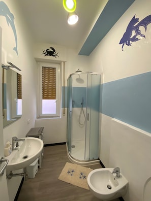 Shower, hair dryer, bidet, towels