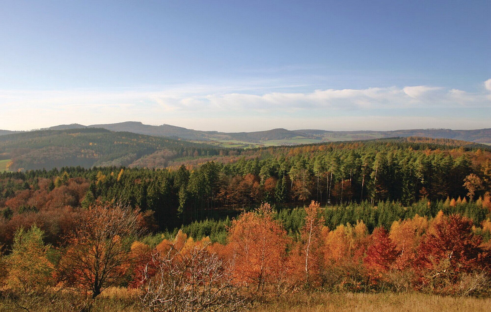 Panoramisch uitzicht over een bebost landschap met glooiende heuvels en een heldere lucht.