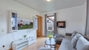 TV connectée, cheminée, lecteur de DVD, chaßne hi-fi