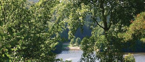 A lakeside view with dense foliage and a dock extending into the water.