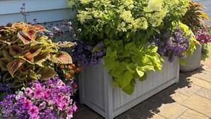 Ein Haus mit großem Fenster, Außenbeleuchtung und einem Blumenbeet davor.