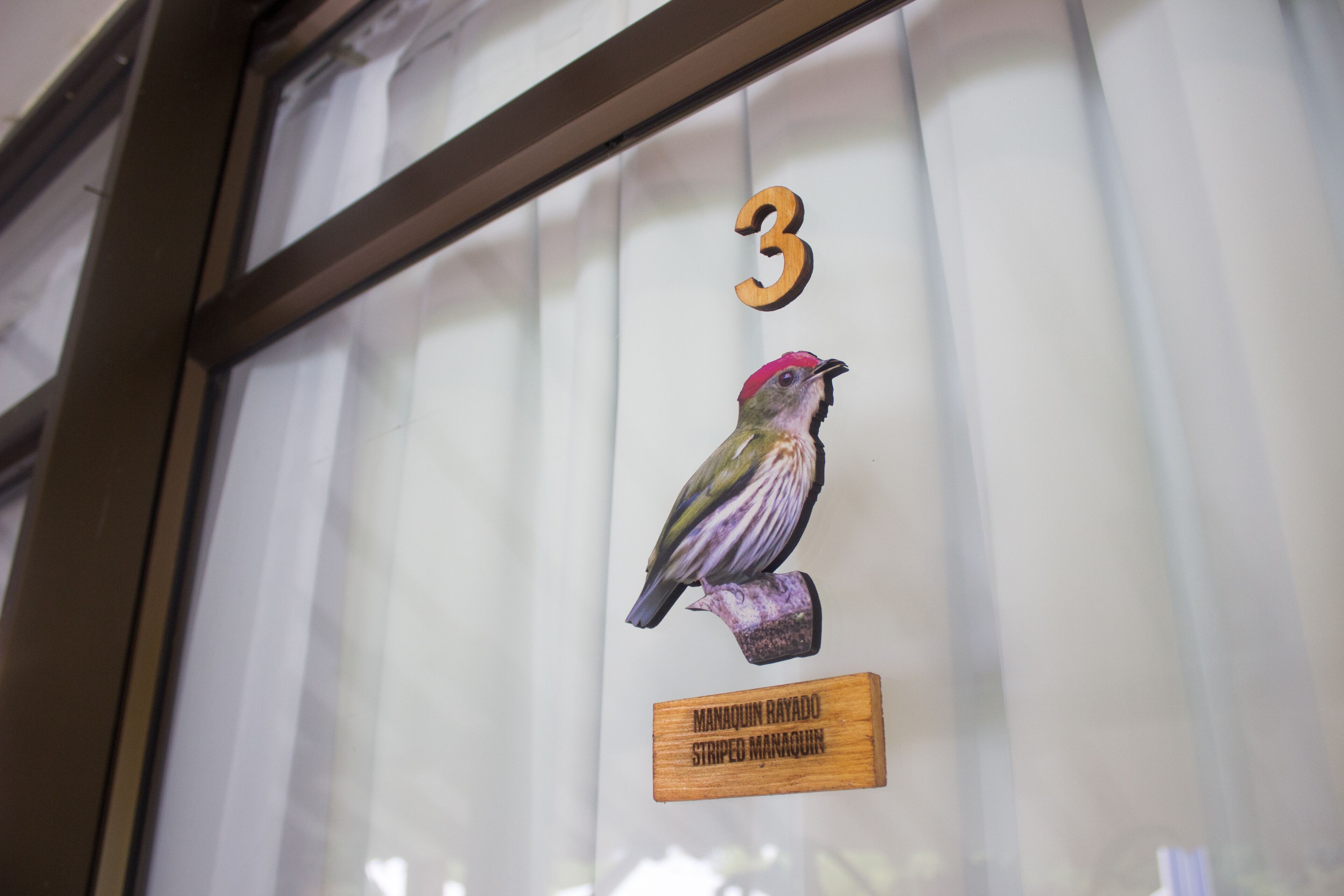 Foto - Cotinga Hotel Spa