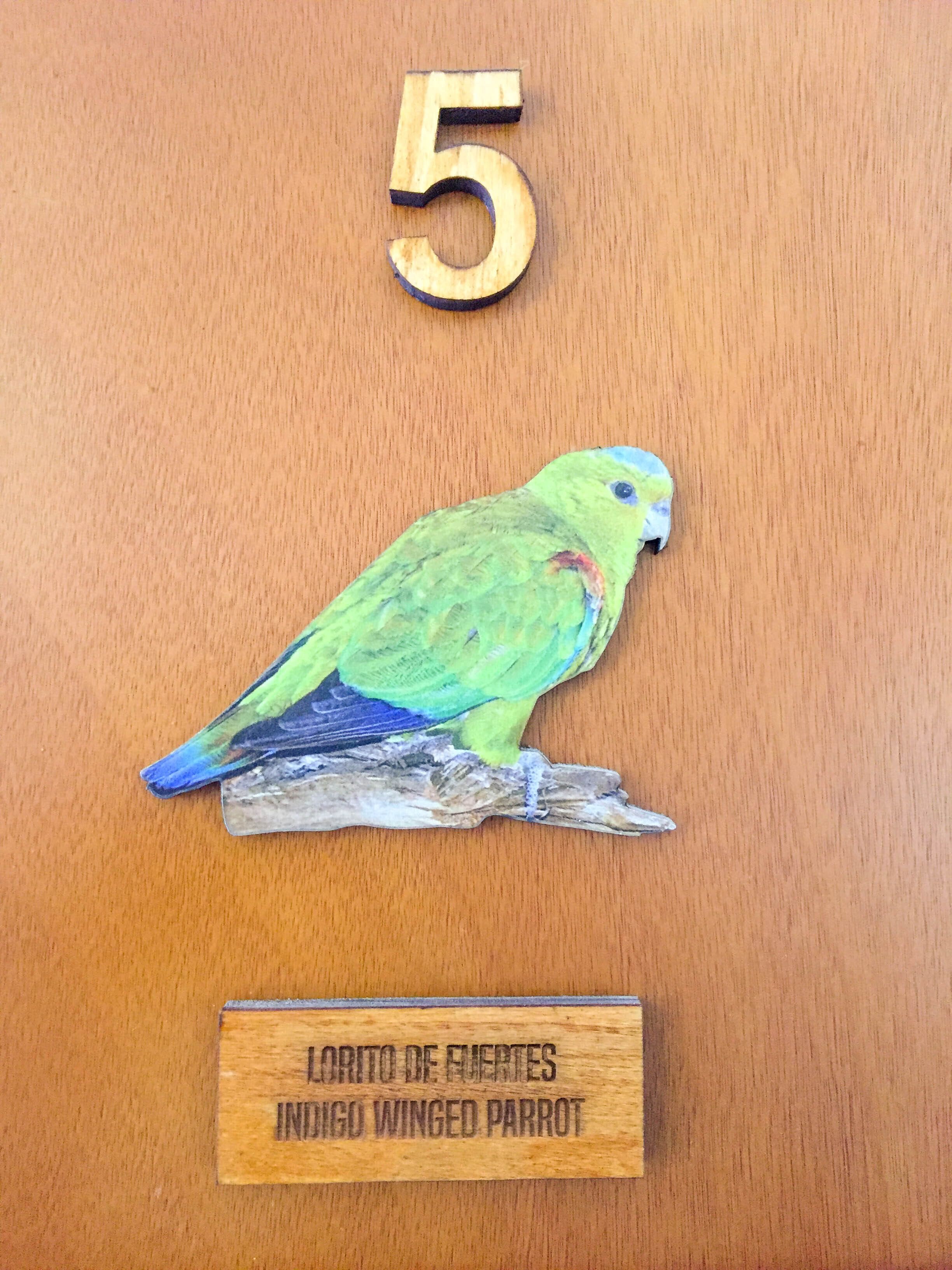 Eine Holztür mit der Nummer '5' und einer Papageien-Illustration. Unter dem Papagei befindet sich eine Plakette mit der Aufschrift 'LORITO DE FUENTES INDIGO WINGED PARROT'.