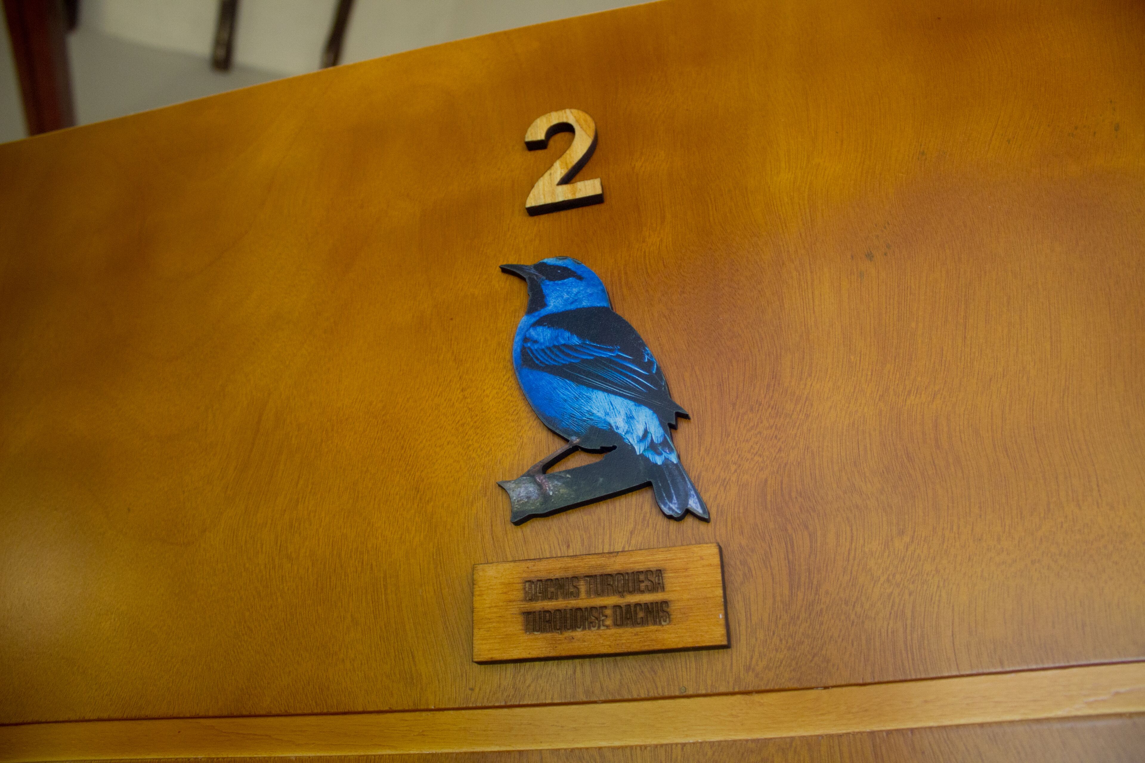 Foto - Cotinga Hotel Spa