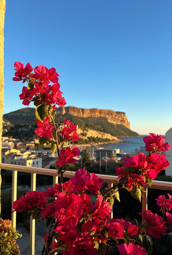 A balcony with red flowers and a view of a coastal town and cliffs.