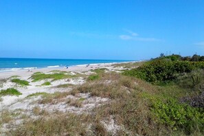 Plage, chaises longues, serviettes de plage