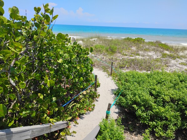 A pathway leading to a beach with clear skies and ocean views.