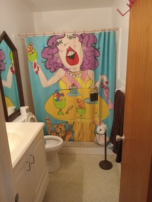 Shower, hair dryer, soap, toilet paper