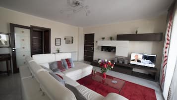 TV, books, stereo