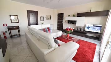 TV, books, stereo