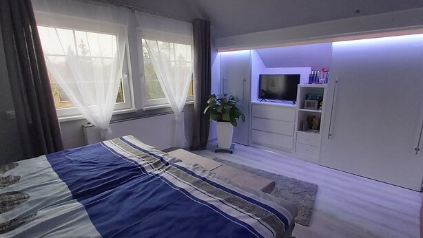 Un dormitorio con cama, mesita de noche, planta, televisor y armario.