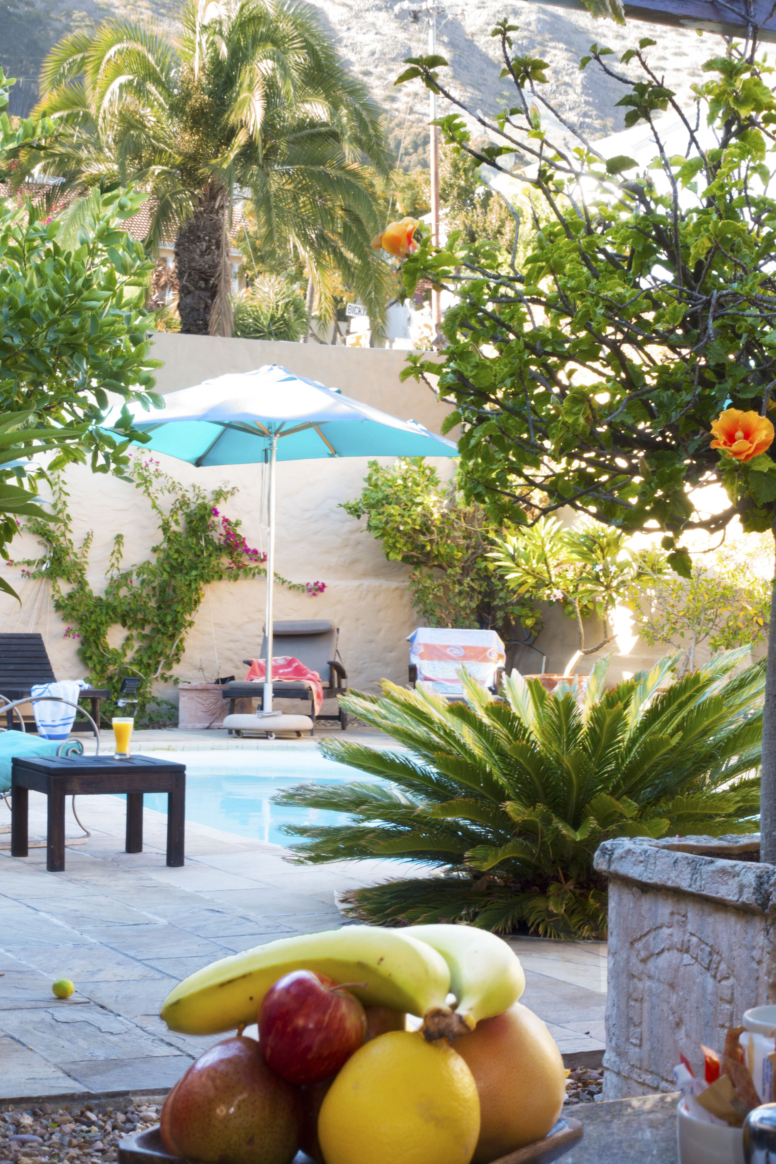 Foto - Rosedene Lodge - All solar, all aircon with pool and garden