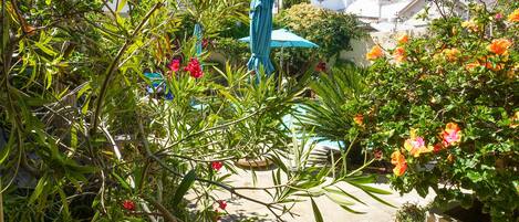 Un jardín con plantas en macetas, un paraguas azul y una zona de patio.