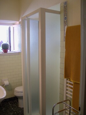 Shower, hair dryer, bidet, towels - Casa O is a 19th-century, restored, stone house with garden IT046022C2LZ5R4HQX (Pescaglia.)